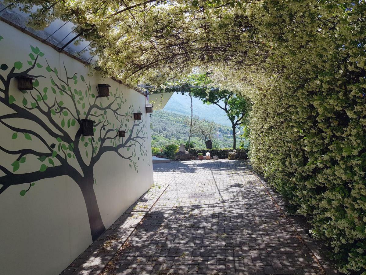 #Ioniahouse Surrel Villa Tirana Exterior foto
